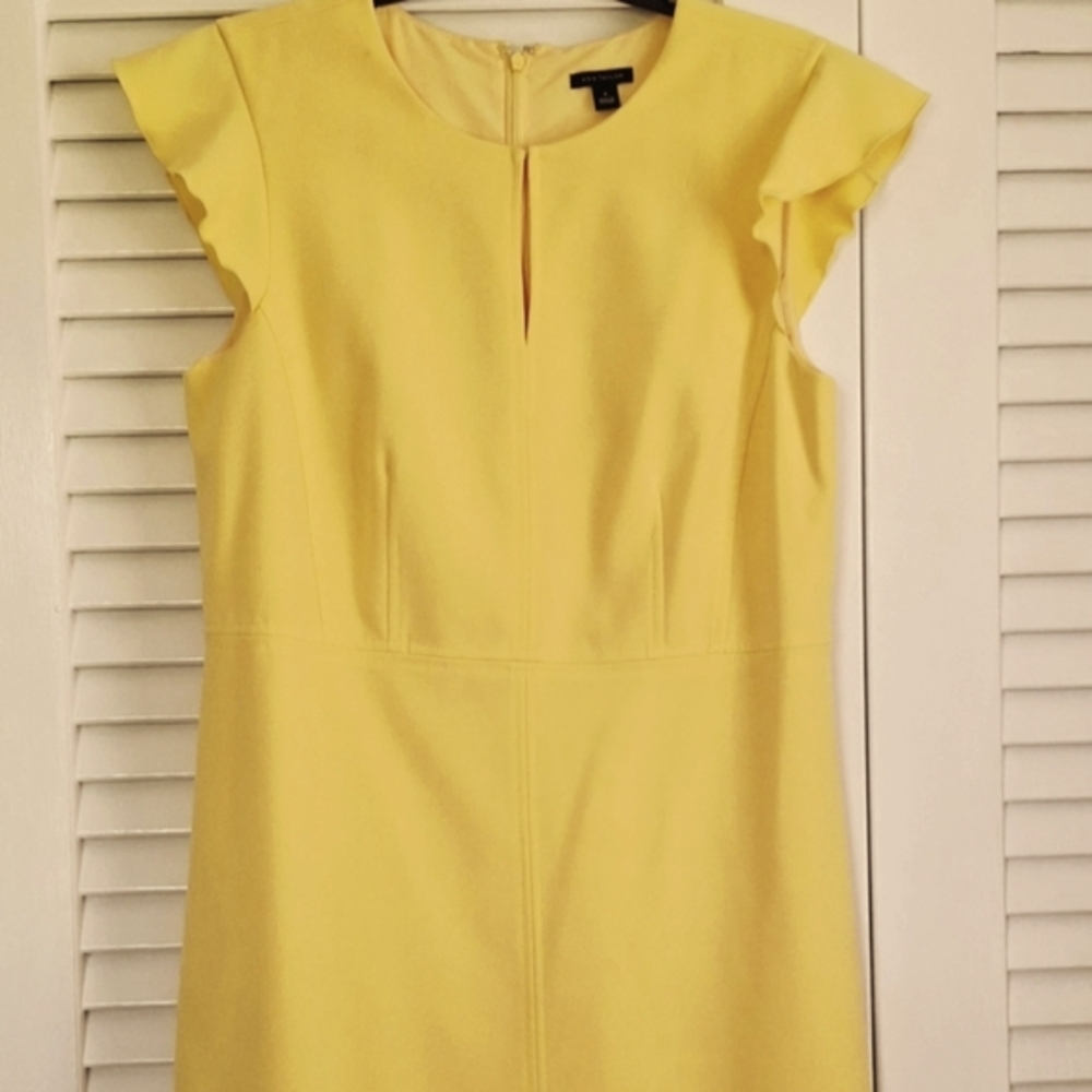 Ann Taylor Dress Sz 8